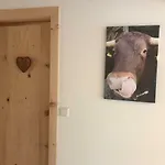 شقة S'fleckerl لينغريس