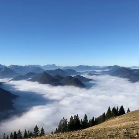 S'fleckerl Apartament